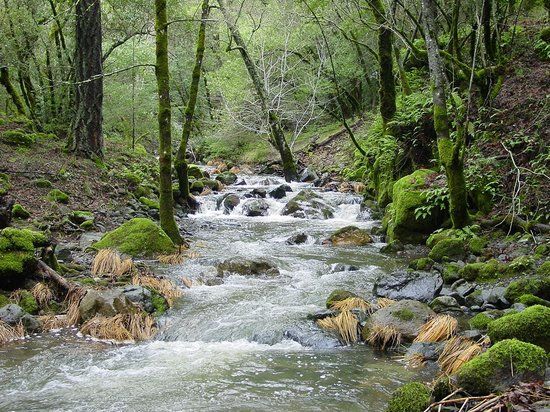 Sugarloaf Ridge State Park